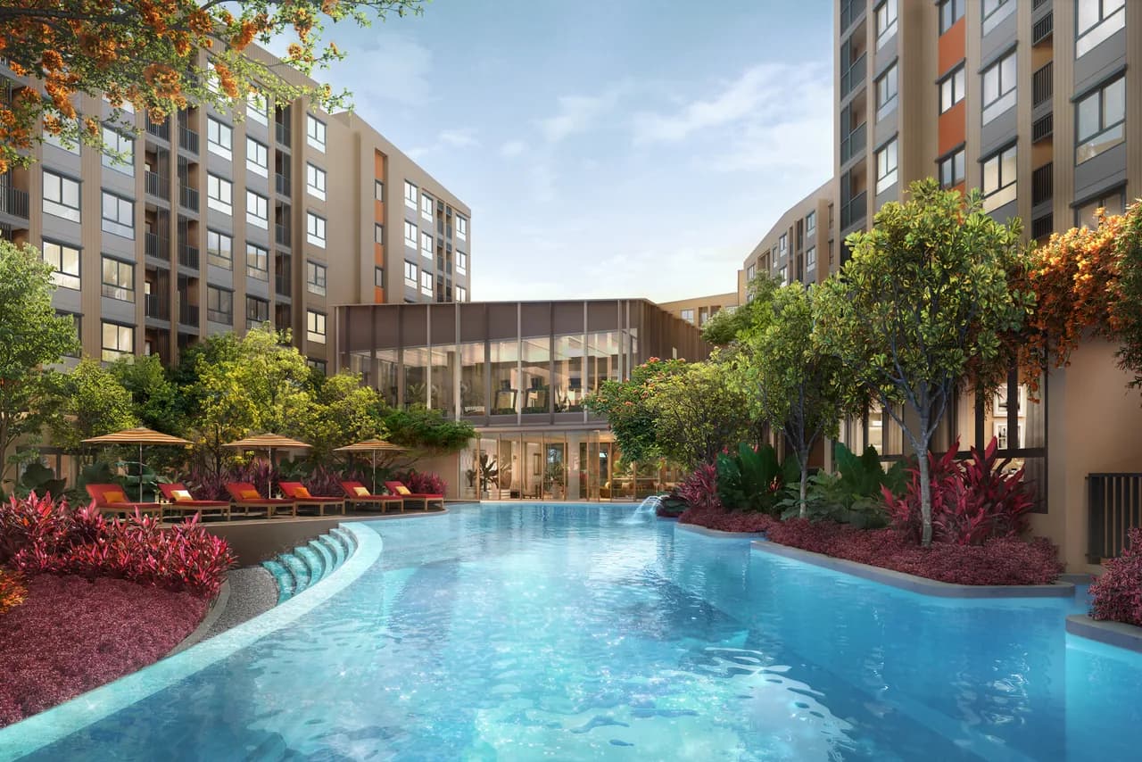 dcondo Cove — 2