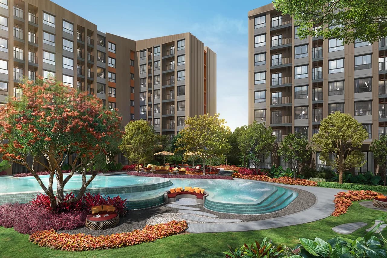 dcondo Cove — 3